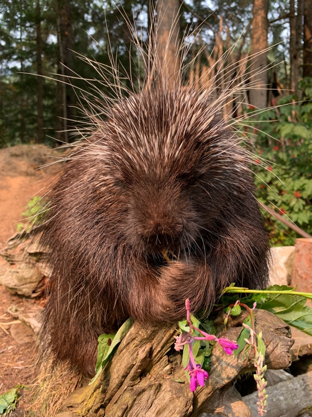 2019-07-10 10 45 23.JPG